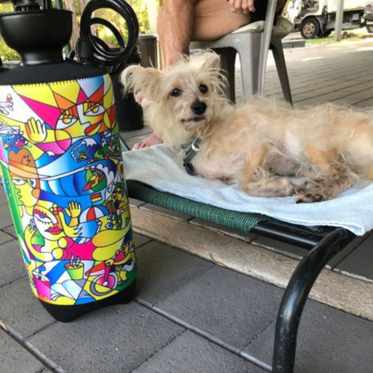 Portable Shower Livin&#39; the Dream 2.1G