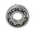 Crankshaft Bearing With Pin for Sea-Doo XP, RX DI, Challenger 1800, GSX