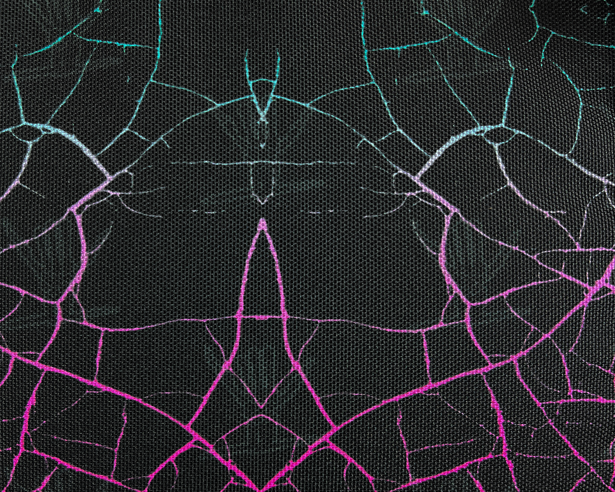 AO x SHREDDY - Cracked 24 Pack