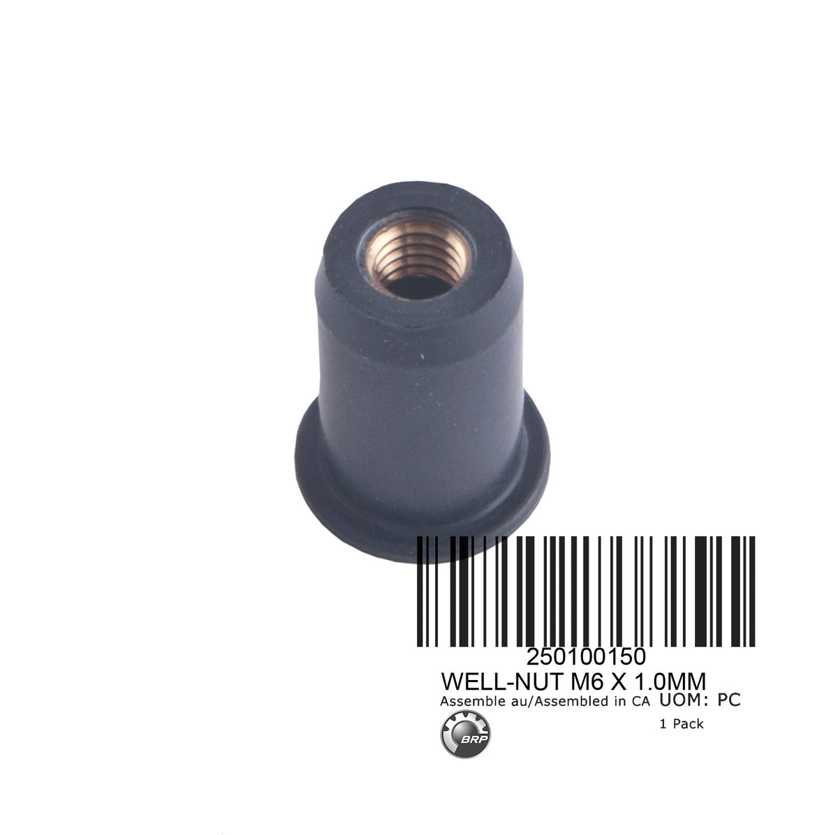WELL-NUT M6 X 1.0MM