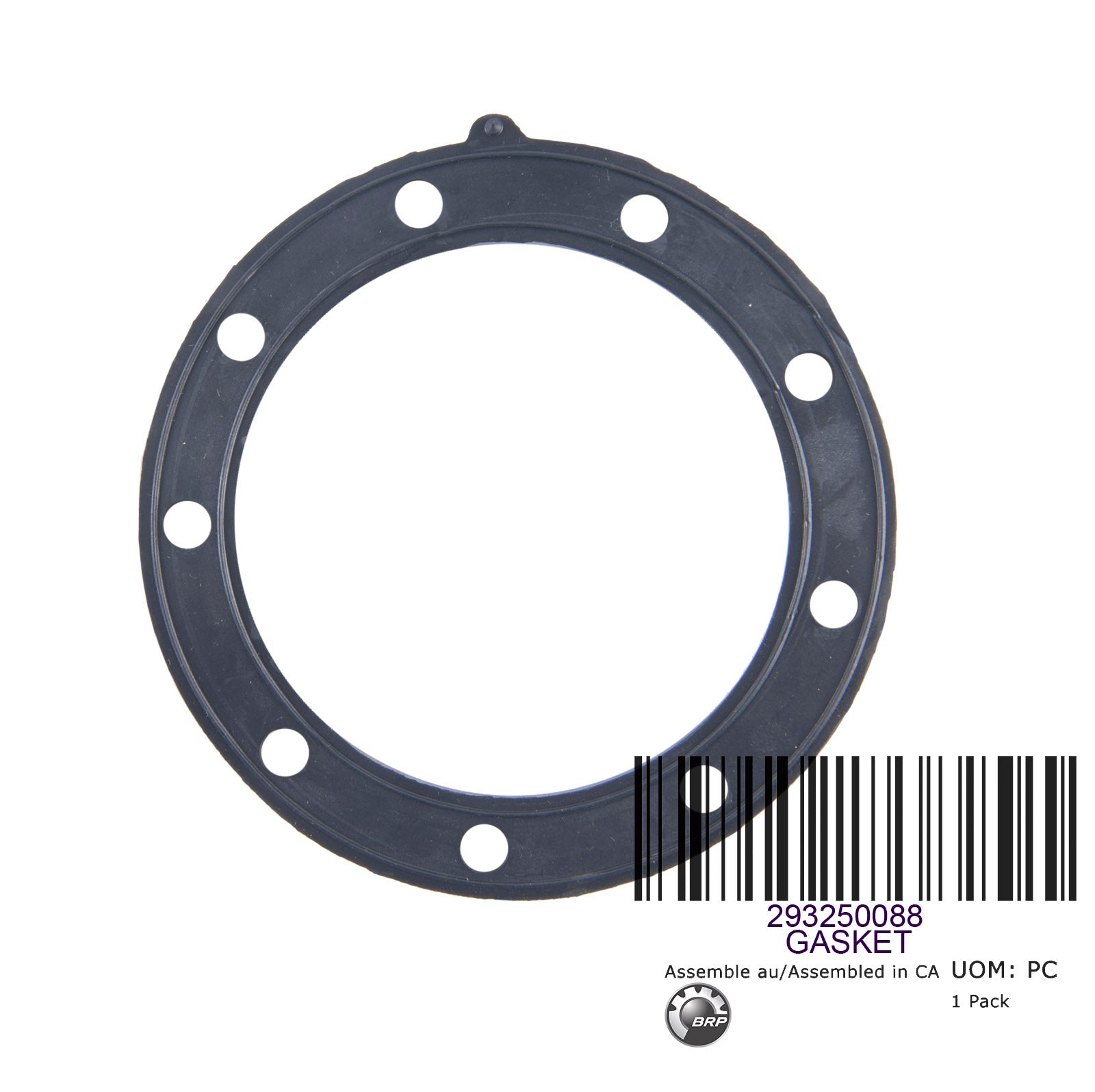 GASKET