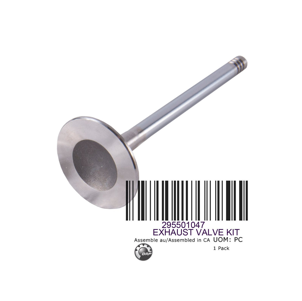 EXHAUST VALVE KIT