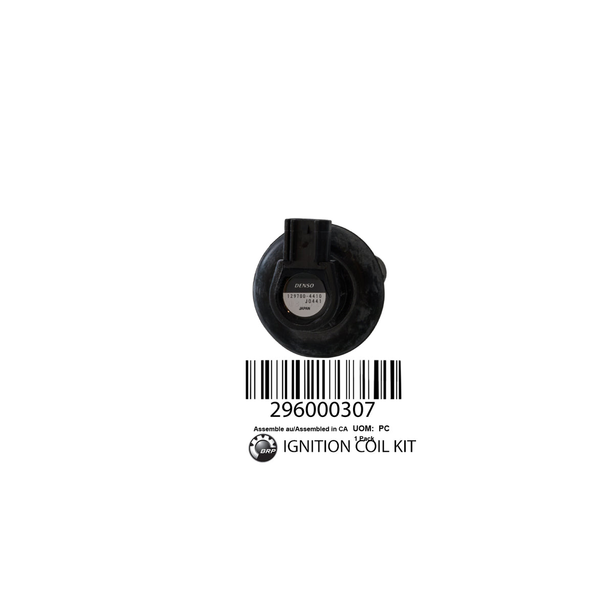 296000307 IGNITION COIL KIT