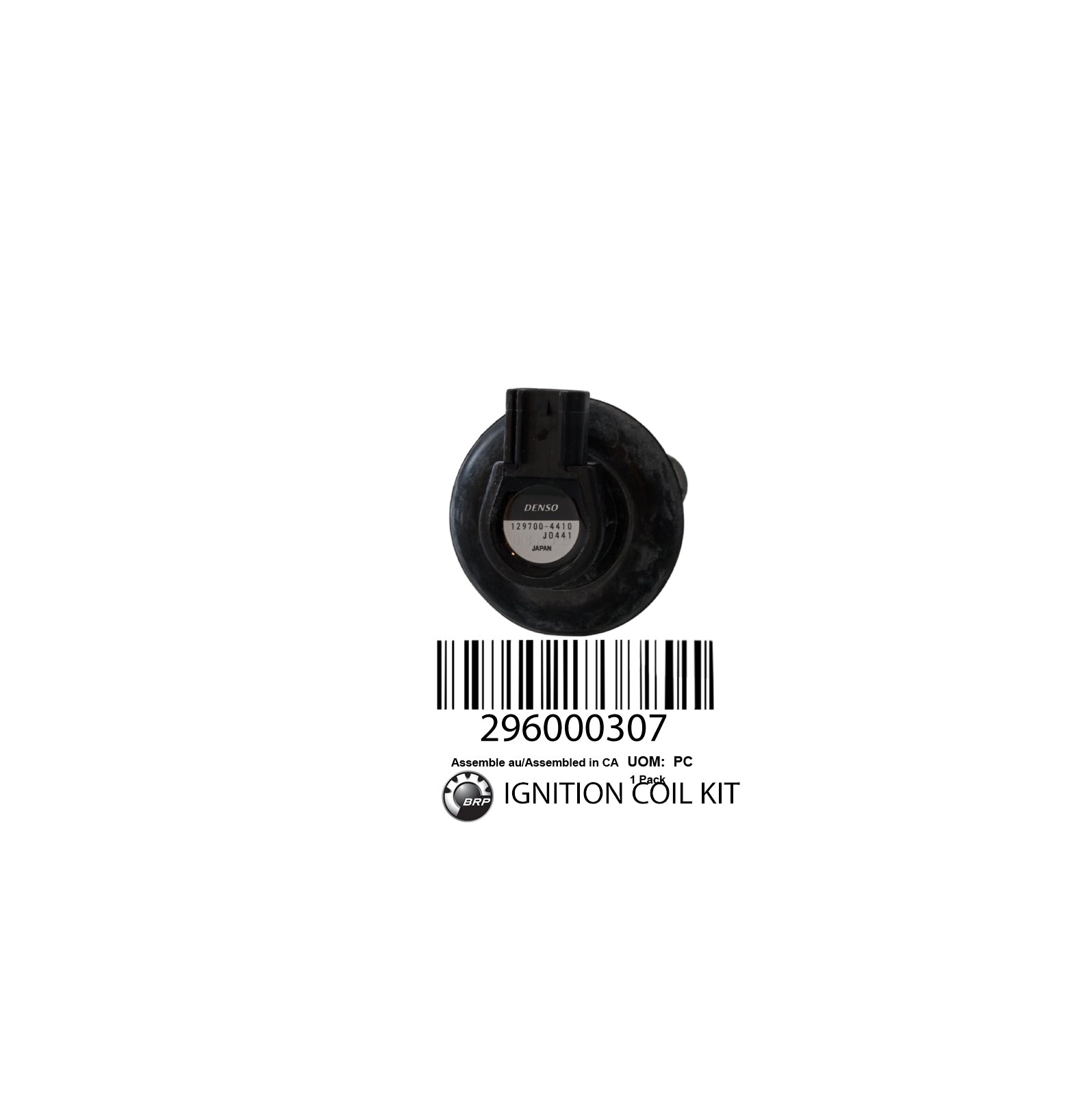 296000307 IGNITION COIL KIT