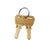 Trailer Hitch Lock