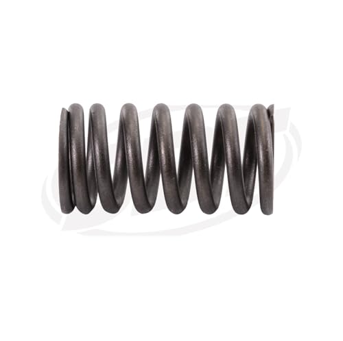 SBT Valve Spring Compatible with 14751-HW3-670 Honda F12X, R12X (Select Models)