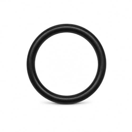 SBT Seal Carrier O-Ring - Sea-Doo 293300032 All Models (Select Models)