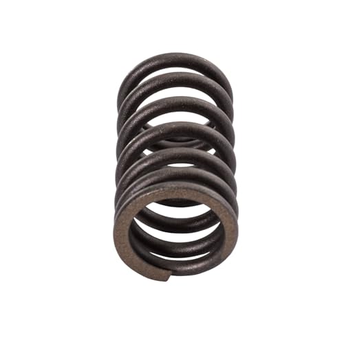 SBT Valve Spring - Yamaha 6S5-12113-00-00 FX SHO, FZR, FZS (Select Models)