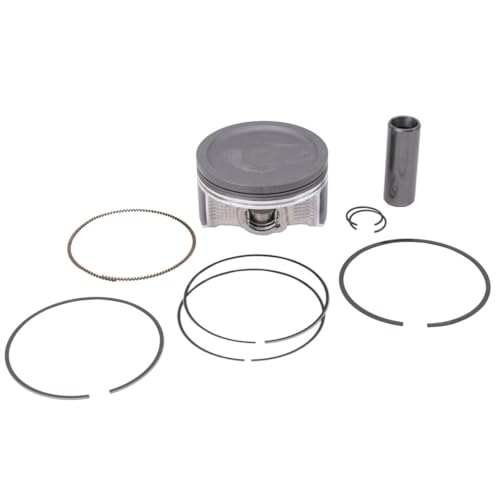 SBT Piston &amp; Ring Kit for Kawasaki 13001-0755