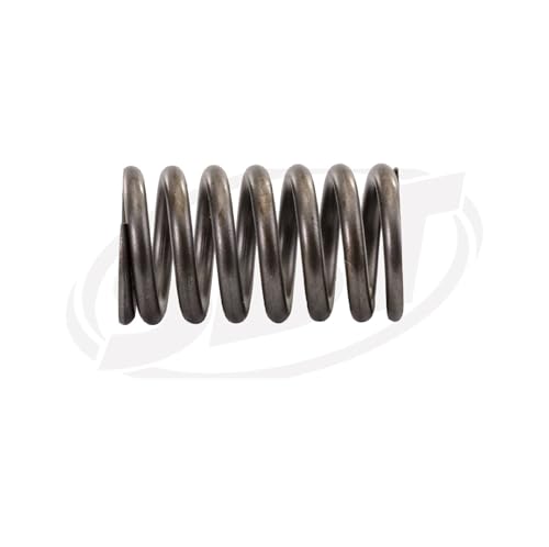 SBT Valve Spring - Honda 14751-MAT-003 F12X, F12, R12, R12X (Select Models)