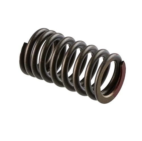SBT Valve Spring - Yamaha 8GL-12113-00-00 EX, EX Deluxe (Select Models)