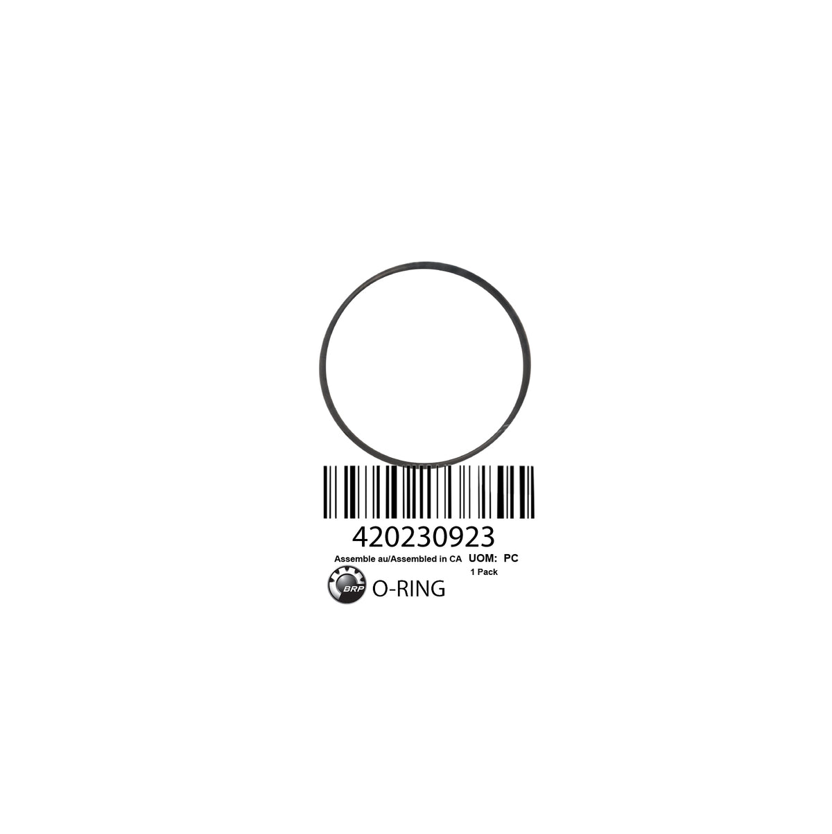 420230923 O-RING