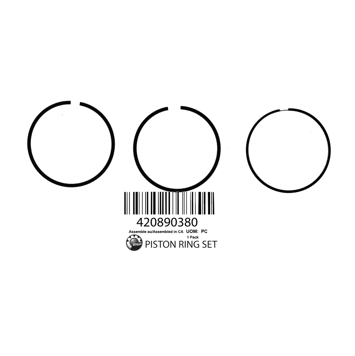420890380 PISTON- SET RING- STANDARD