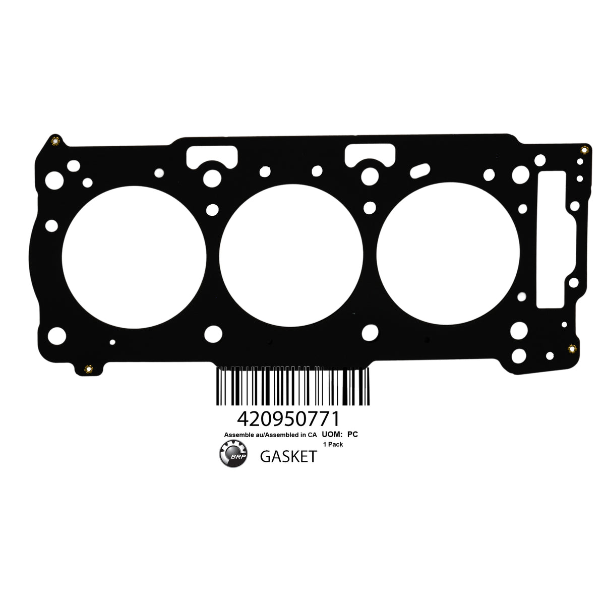 420950771 Cylinder Head Gasket