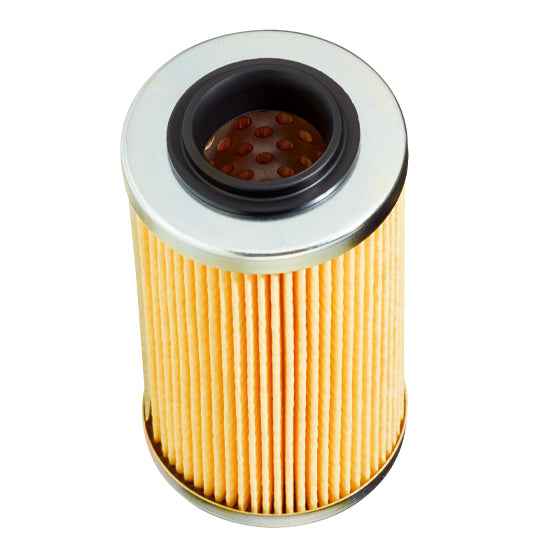 420956741 4 Stroke OIL Filter