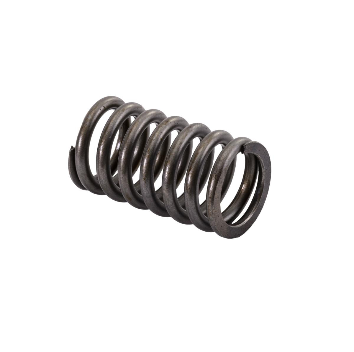 SBT Valve Spring - Honda 14751-MAT-003 F12X, F12, R12, R12X (Select Models)