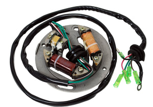スターダストウインク Stator for Yamaha 6R8-85560-00-00 Wave Runner III 650, VXR