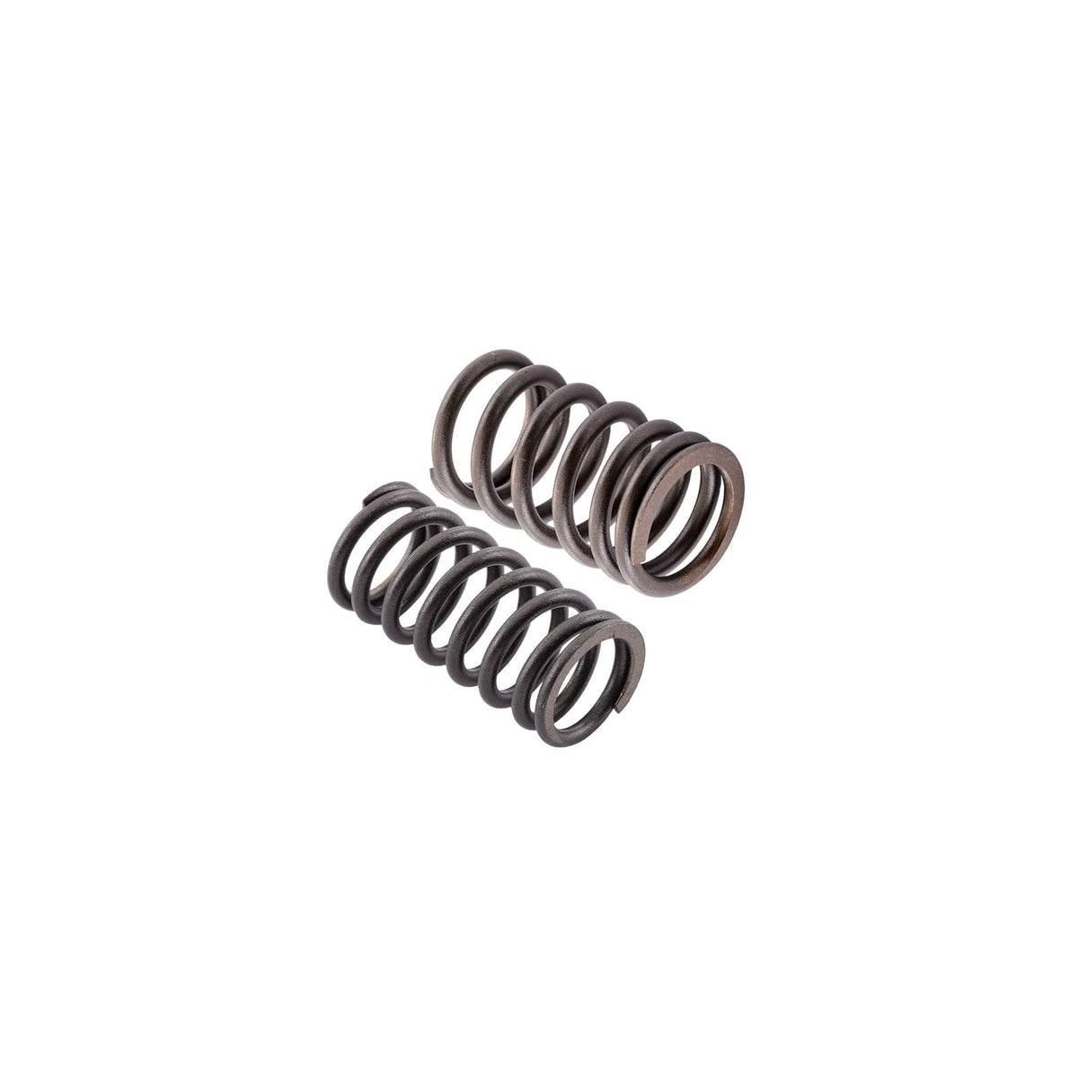 SBT Cylinder Head Rebuild Kit 420254298 Sea-Doo 4-Strokes (except Spark) 2003-21