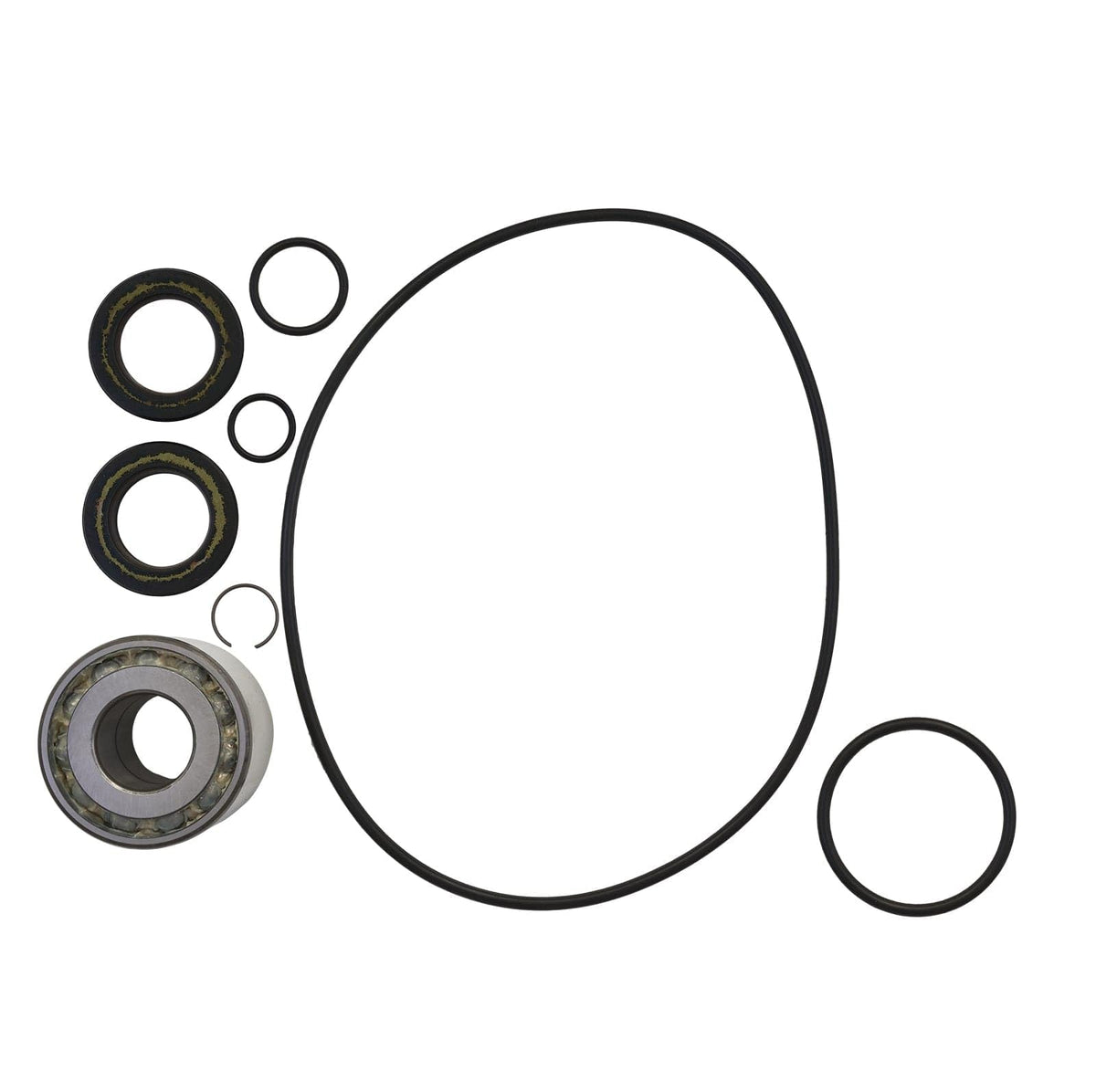 SBT Jet Pump Rebuild Kit Compatible with Honda F-12 2006