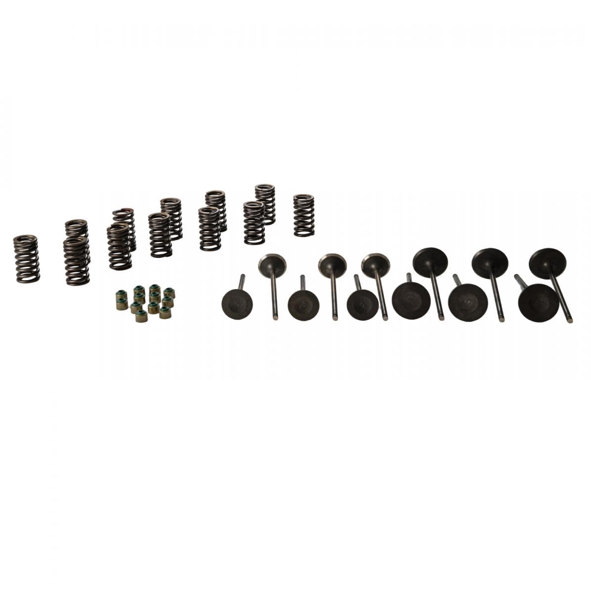SBT Cylinder Head Rebuild Kit compatible with Yamaha 1050 (TR1)