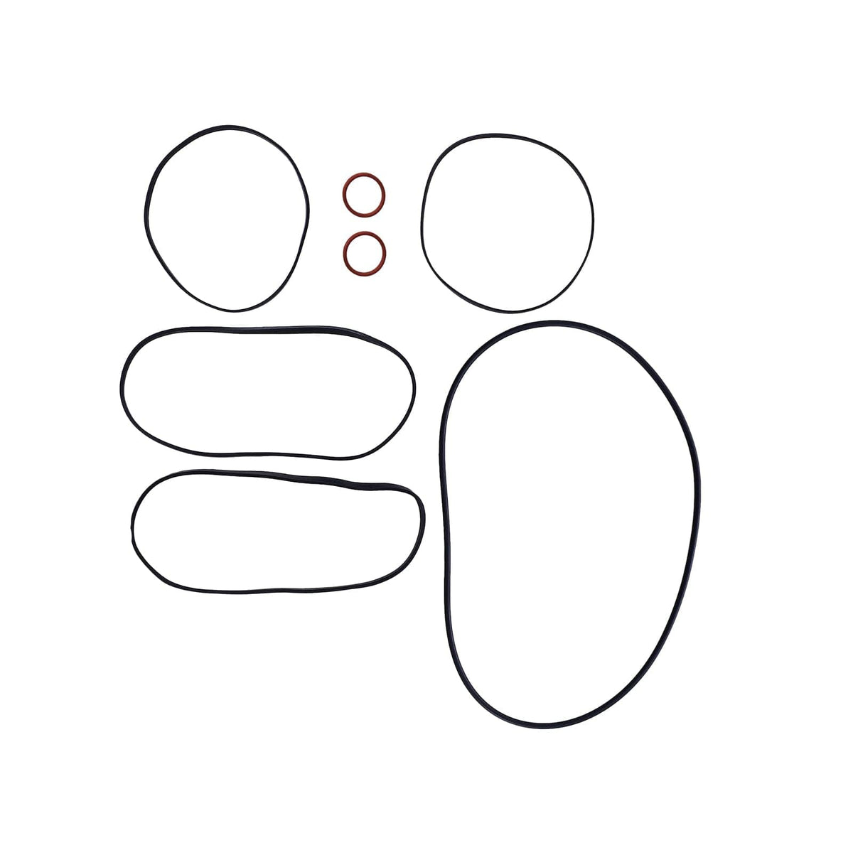 SBT Complete Gasket Kit Fits Sea-Doo 290931161 Explorer GTX Speedster SPX