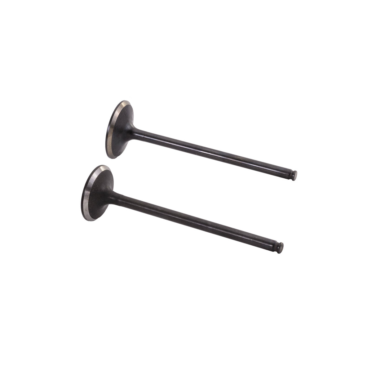 Cylinder Head Rebuild Kit for Honda F12, R12