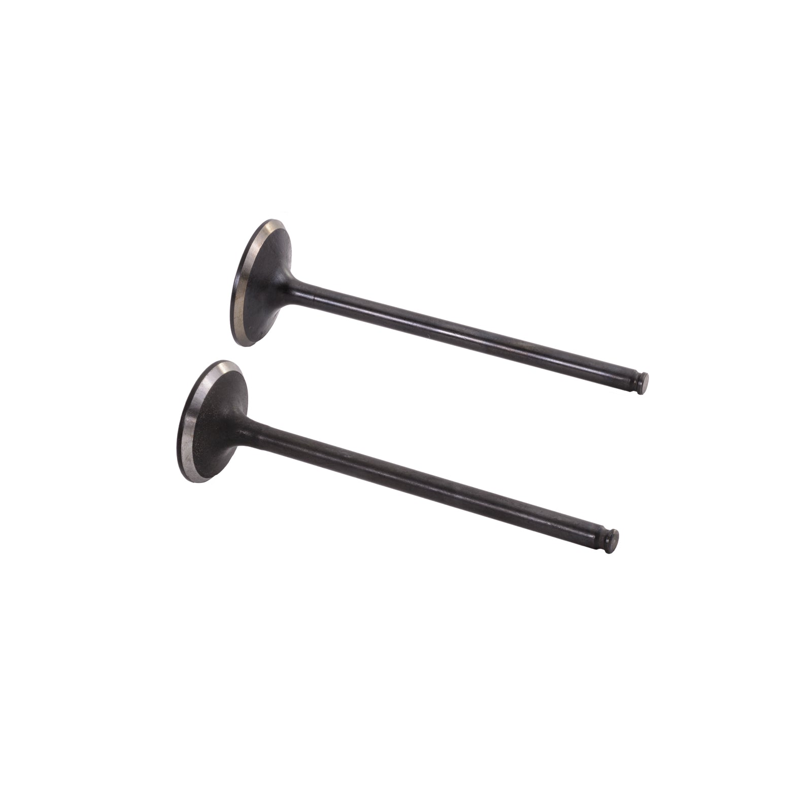 Cylinder Head Rebuild Kit for Honda F12, R12