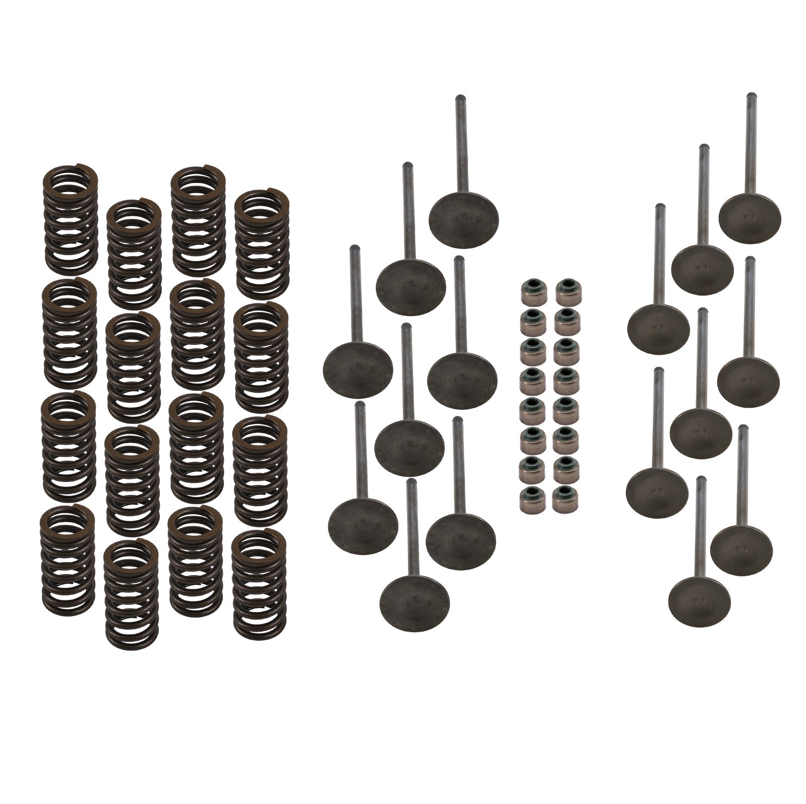 Cylinder Head Rebuild Kit for Honda F12X, R12X