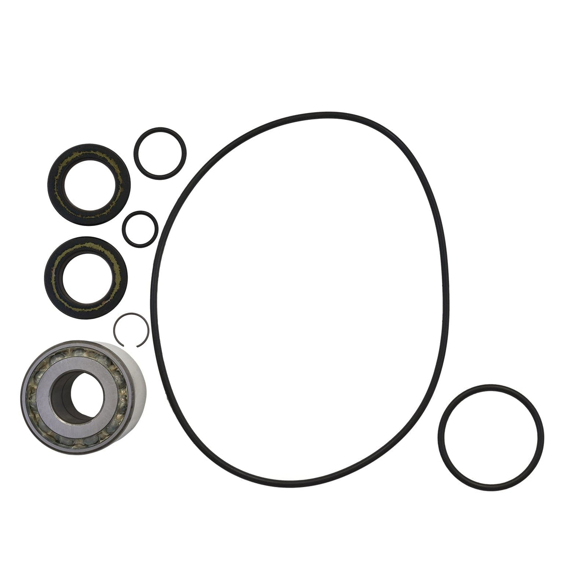 Jet Pump Rebuild Kit for Honda F12