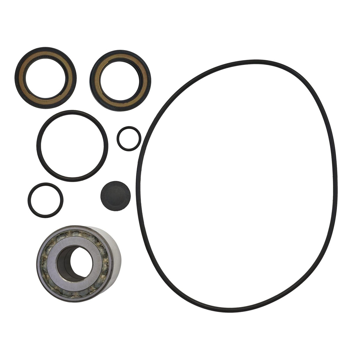 SBT Jet Pump Rebuild Kit Compatible with Honda F-15X/F-15 2008 2009