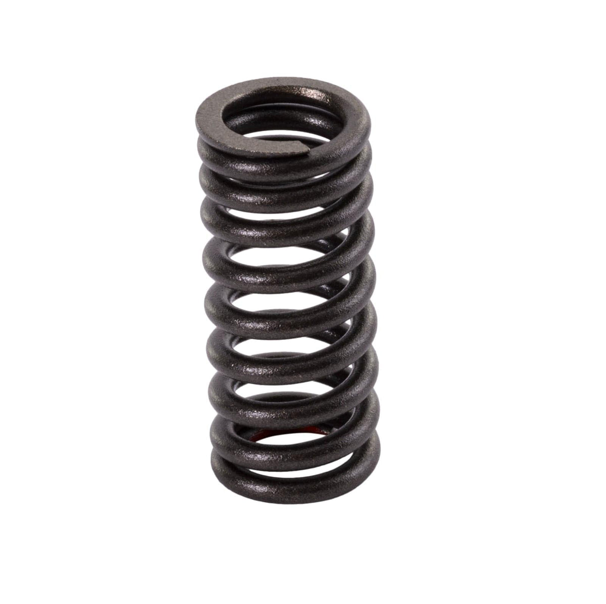 SBT Valve Intake Spring - Yamaha 4XV-12113-00-00 VX110 Deluxe (Select Models)