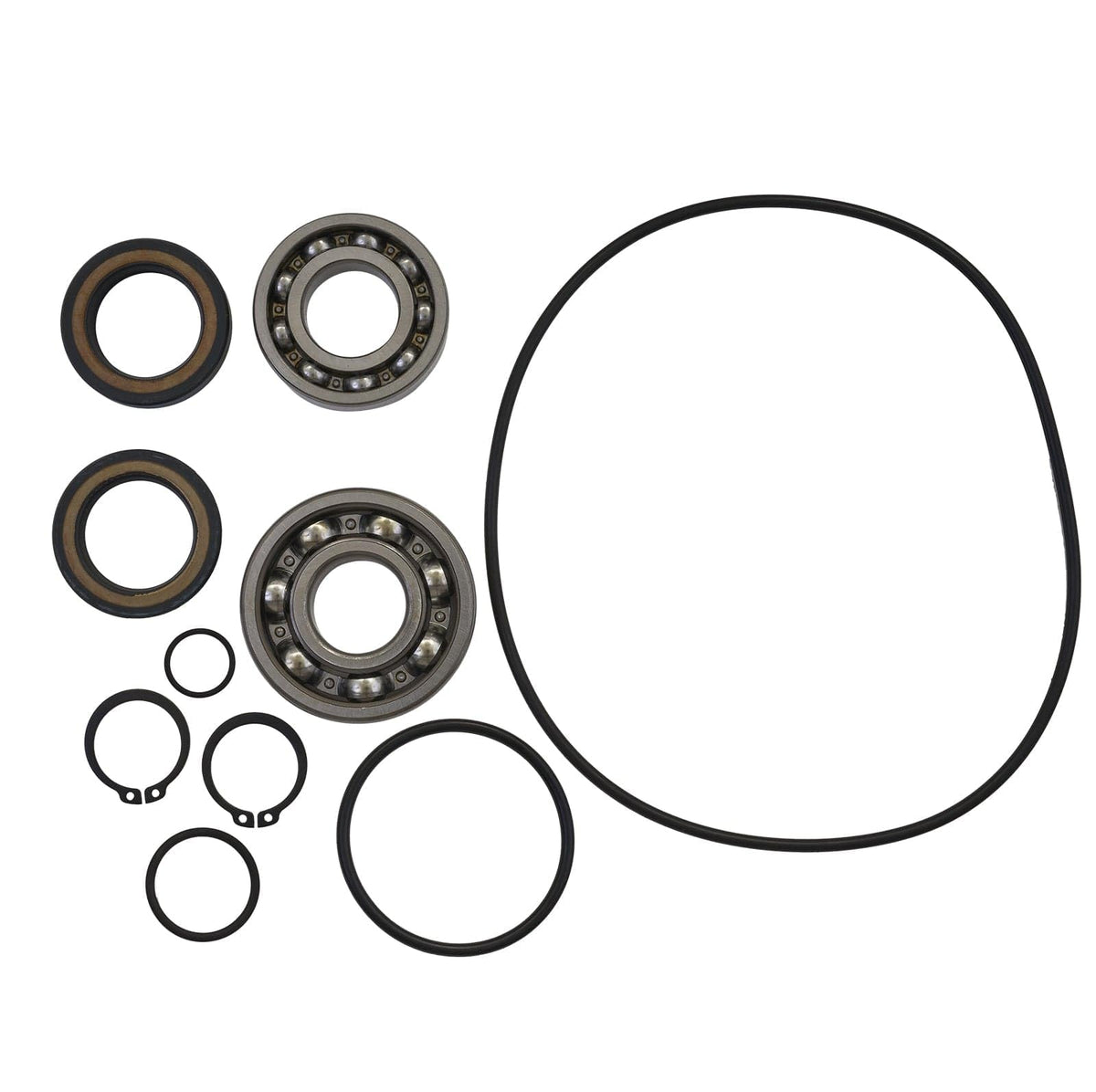 SBT Jet Pump Rebuild Kit Compatible with Honda F-12/F-12X/R-12X/R-12X 2002-2007