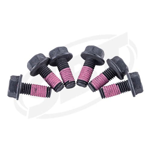 Magneto Screw Kit for Sea-Doo 295501043 GTI 130, GTI SE 155, Wake 155, GTX LTD 2