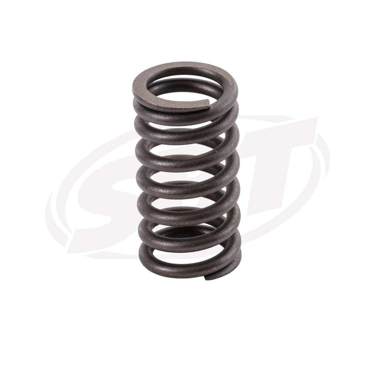 Valve Spring for Honda 14751-HW3-670 F12X, R12X