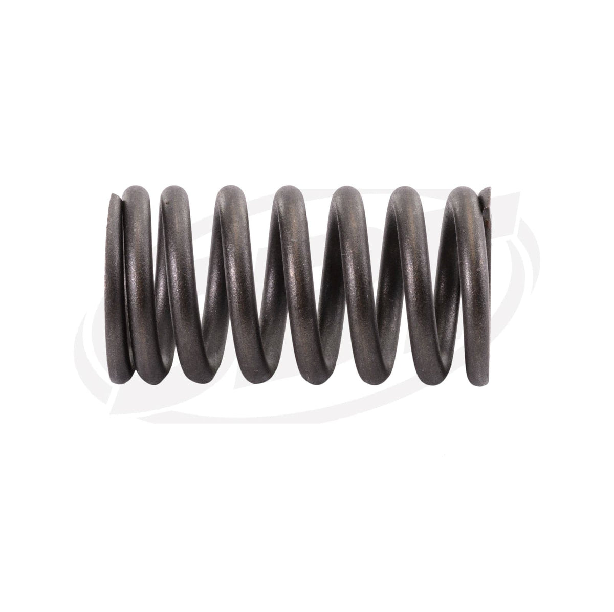 Valve Spring for Honda 14751-HW3-670 F12X, R12X