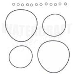 Head O-Ring Kit for Polaris Virage I