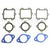 Intake Gasket Kit for Tigershark 900