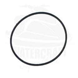 O Ring BN46I