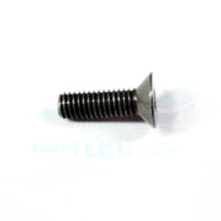 METERING BLOCK SCREW (1) (2 needed per carb)