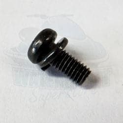 Screw w/ Washer