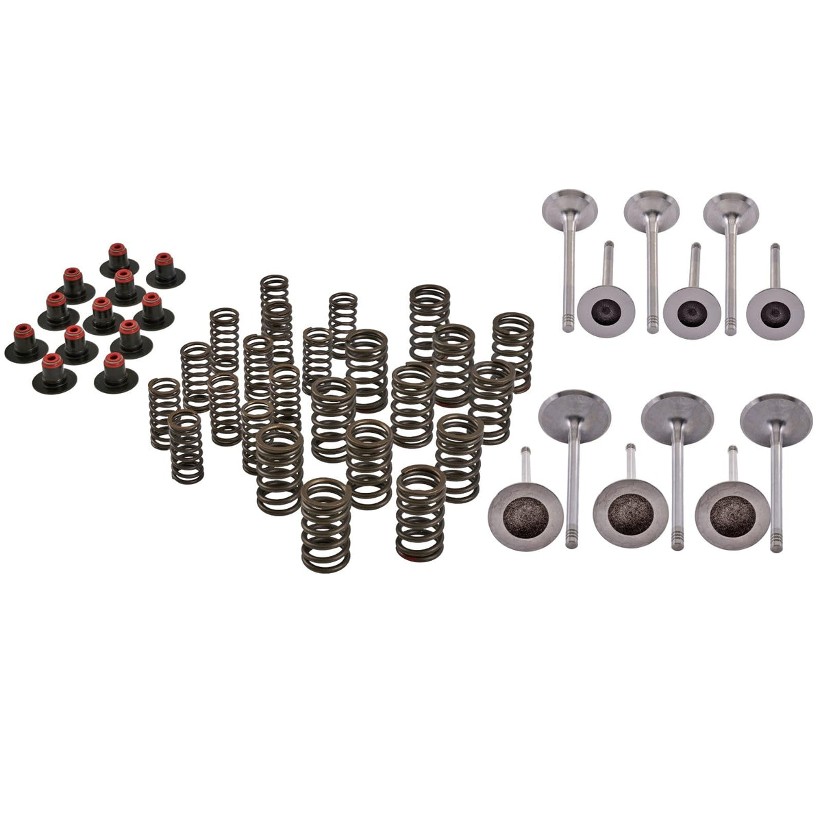 SBT Cylinder Head Rebuild Kit 420254298 Sea-Doo 4-Strokes (except Spark) 2003-21