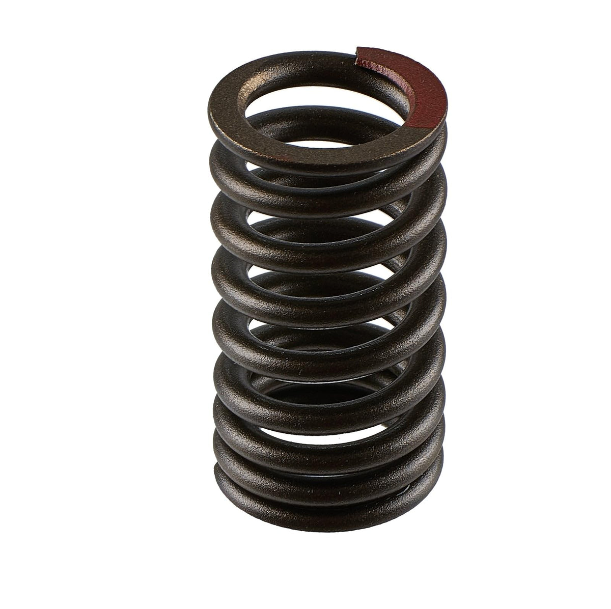 SBT Valve Spring - Yamaha 8GL-12113-00-00 EX, EX Deluxe (Select Models)