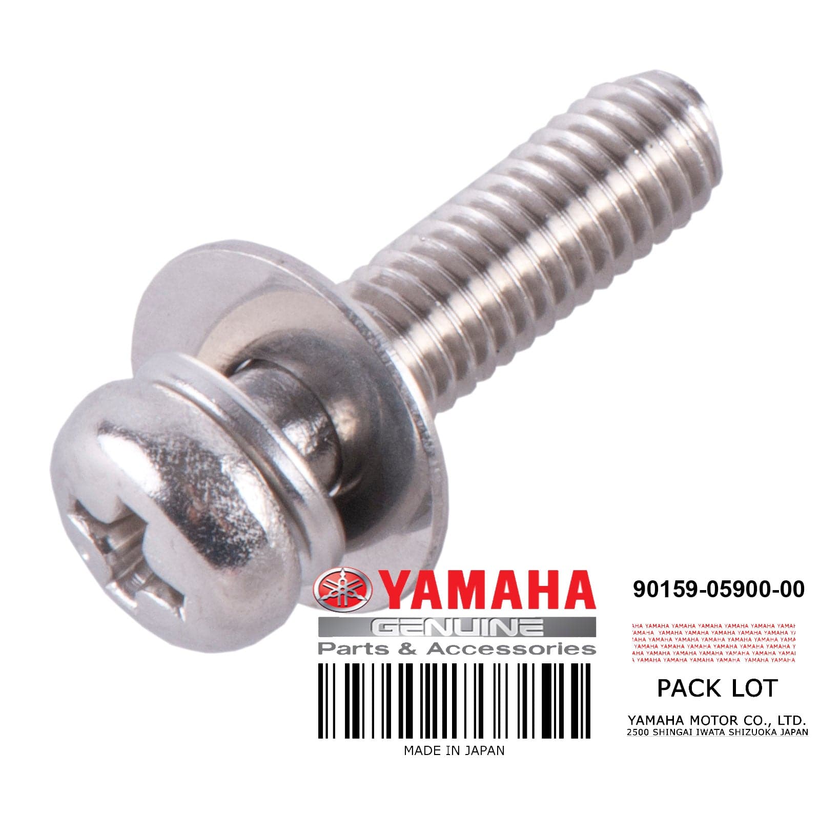 SCREW W/WASHER