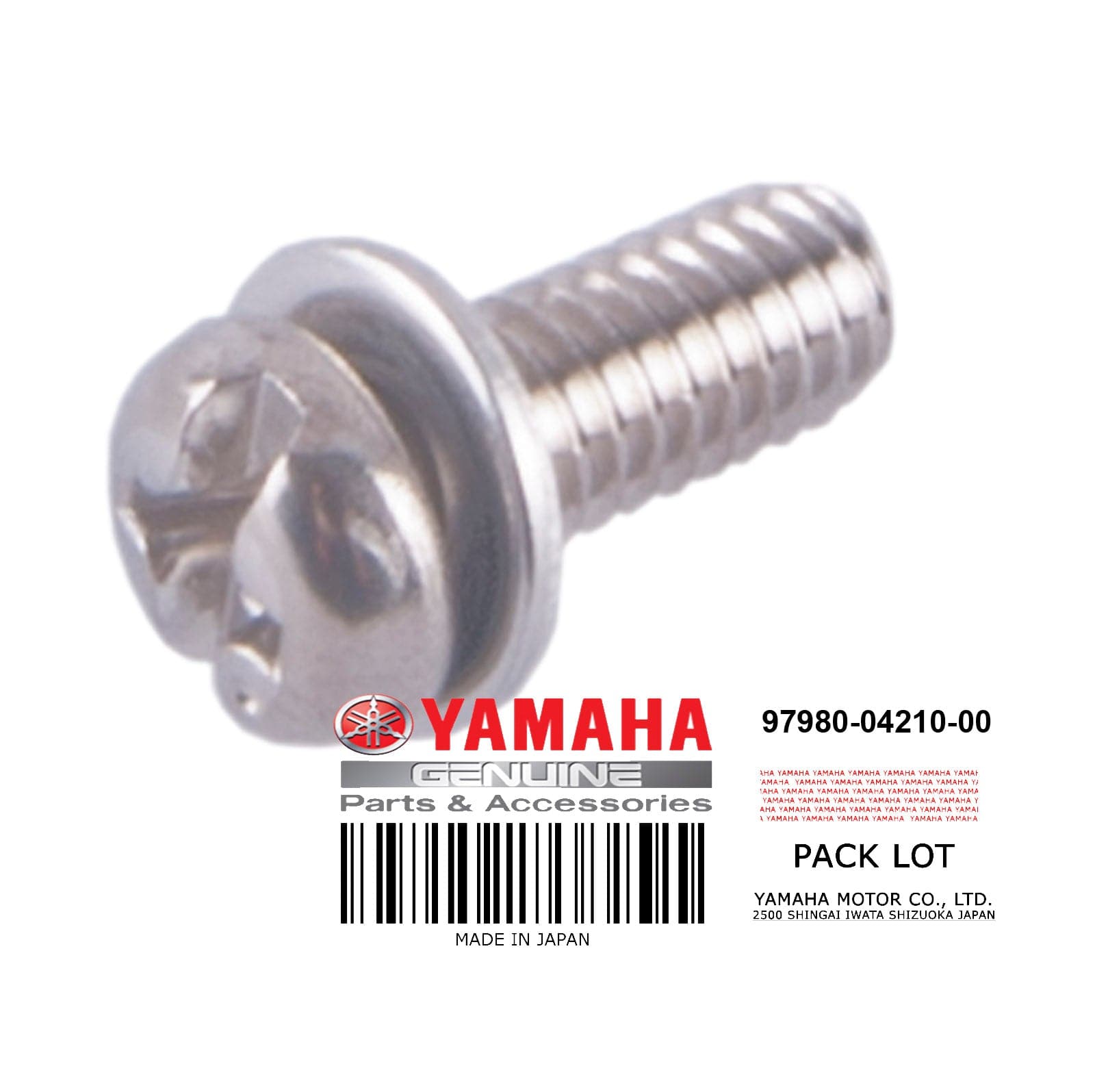 SCREW W/WASHER