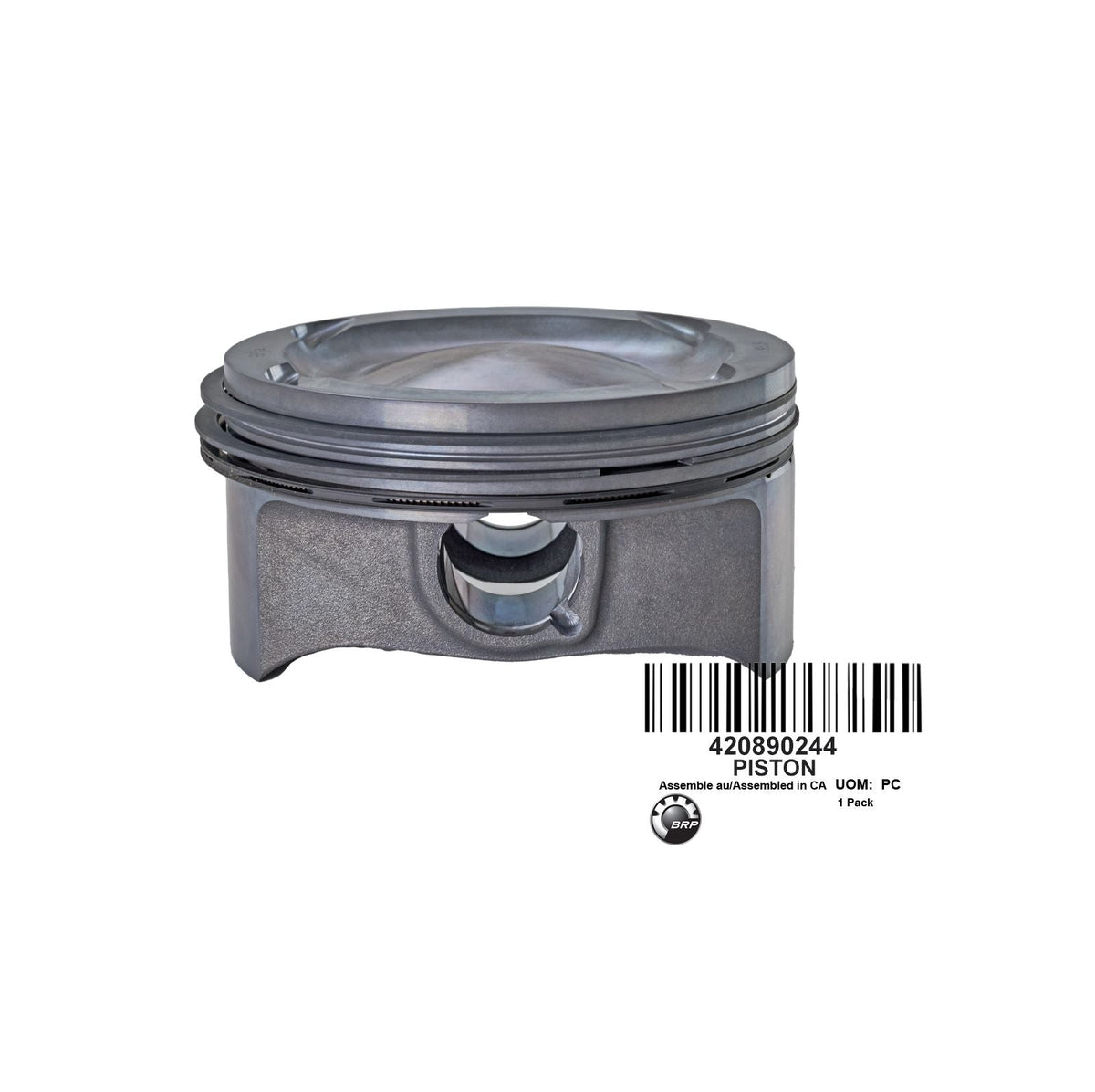 420890244 PISTON ASSY- STANDARD- 99.94 MM