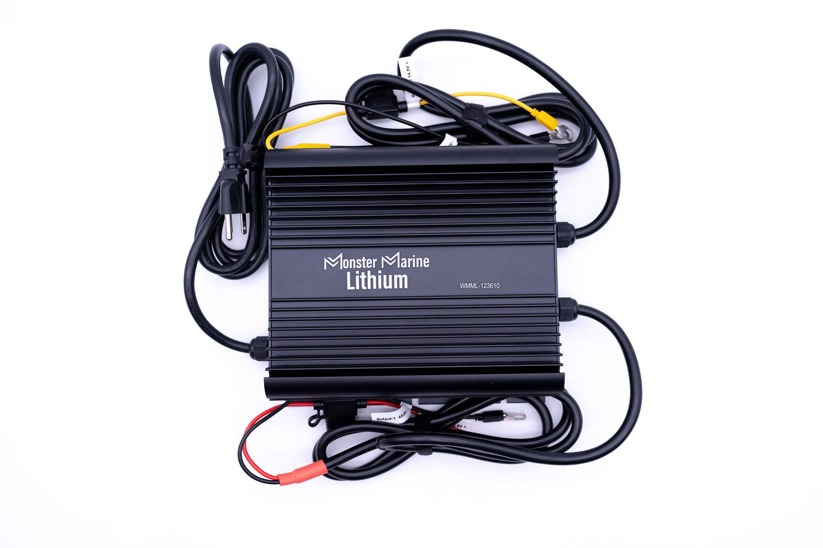 Dual 12v & 36v marine waterproof Lead/AGM/Lithium charger