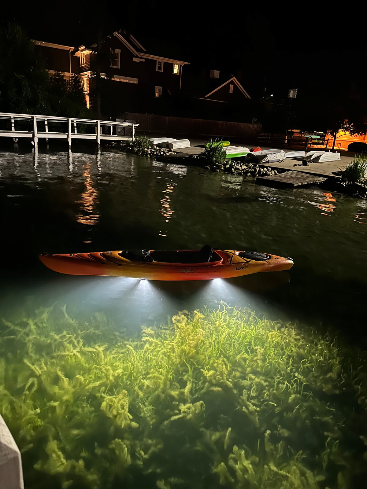 E-Sea Light- Suction Mounted Waterproof Floodlight