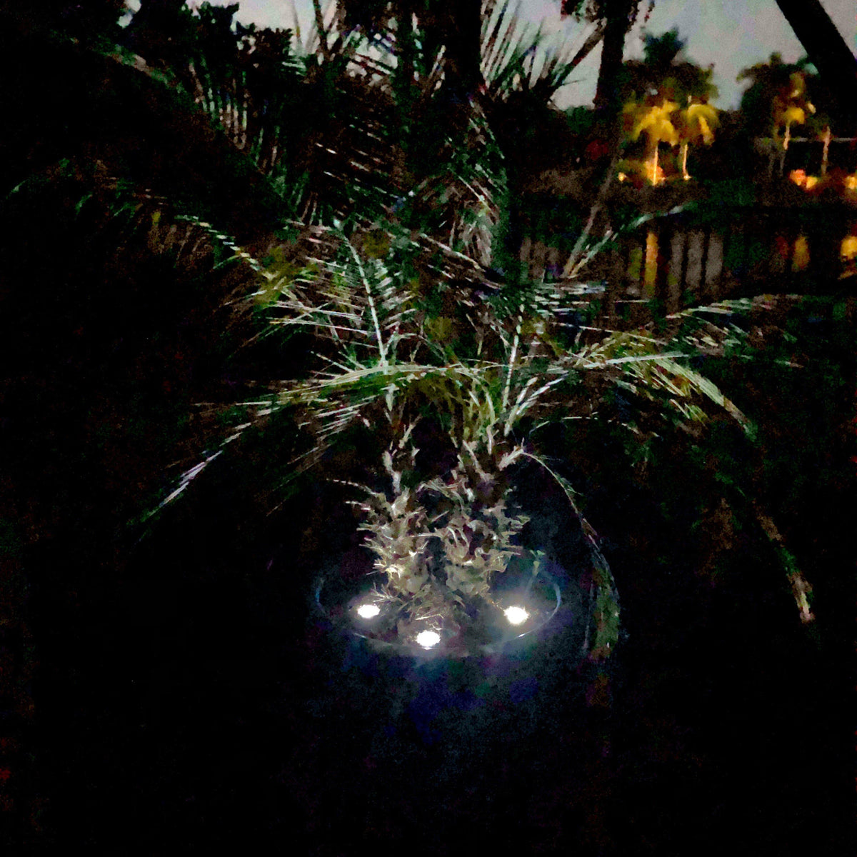 LED Dock &amp; Deck Pods - Solar Powered Light Dots