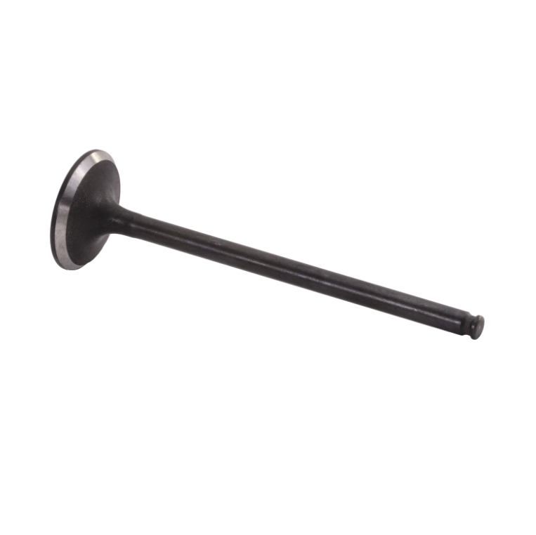 Exhaust Valve for Honda 14721-HW1-671 F12, F12X, R12, R12X