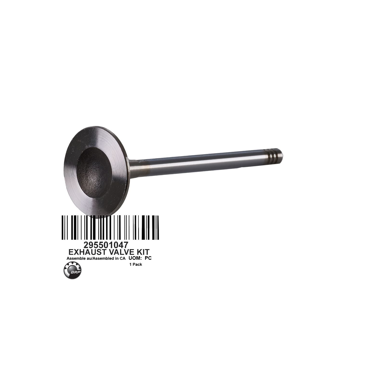 EXHAUST VALVE KIT